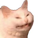 cate.png