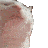 catjam.gif