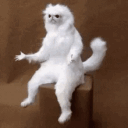 confused_monkey.gif