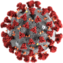 coronavirus.png