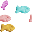 goldfish-stream.gif